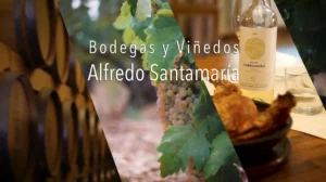 bodegas-alfredo santamaría-30-seg-spot-sergio-camporota